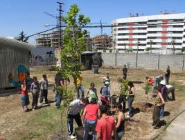 ACVic - Transductores 2010. Imagen del primer taller de plantación en Aulagarden. Granada, abril 2008.