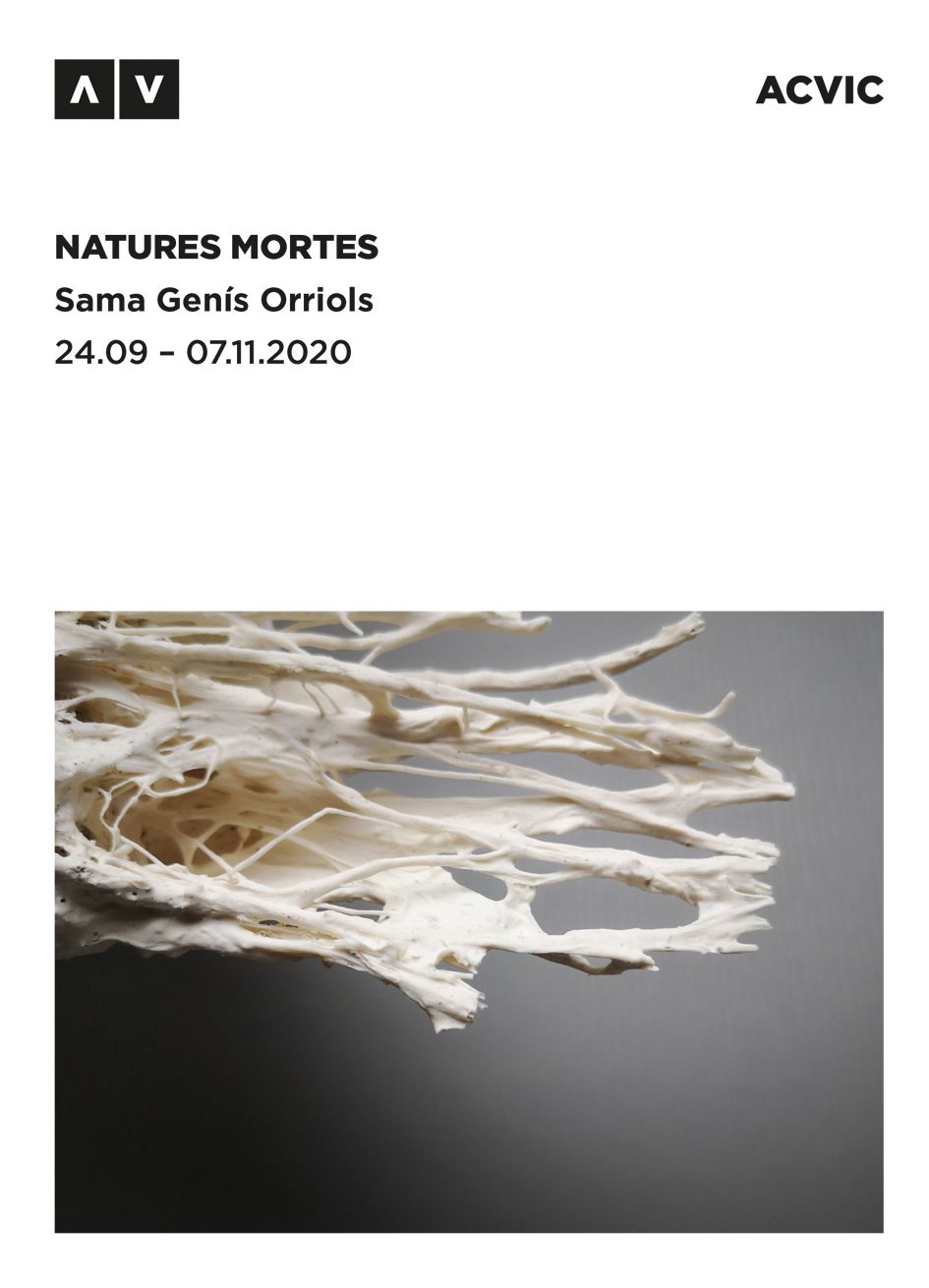 24 09 2020 natures mortes