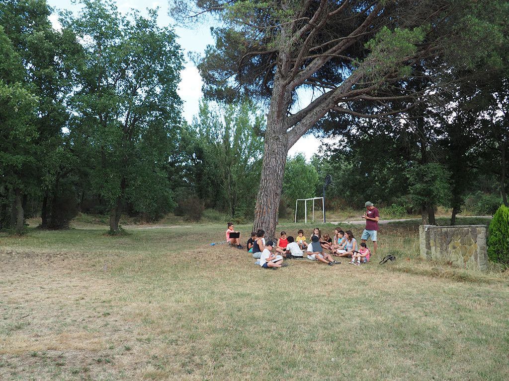 quamjove06 br