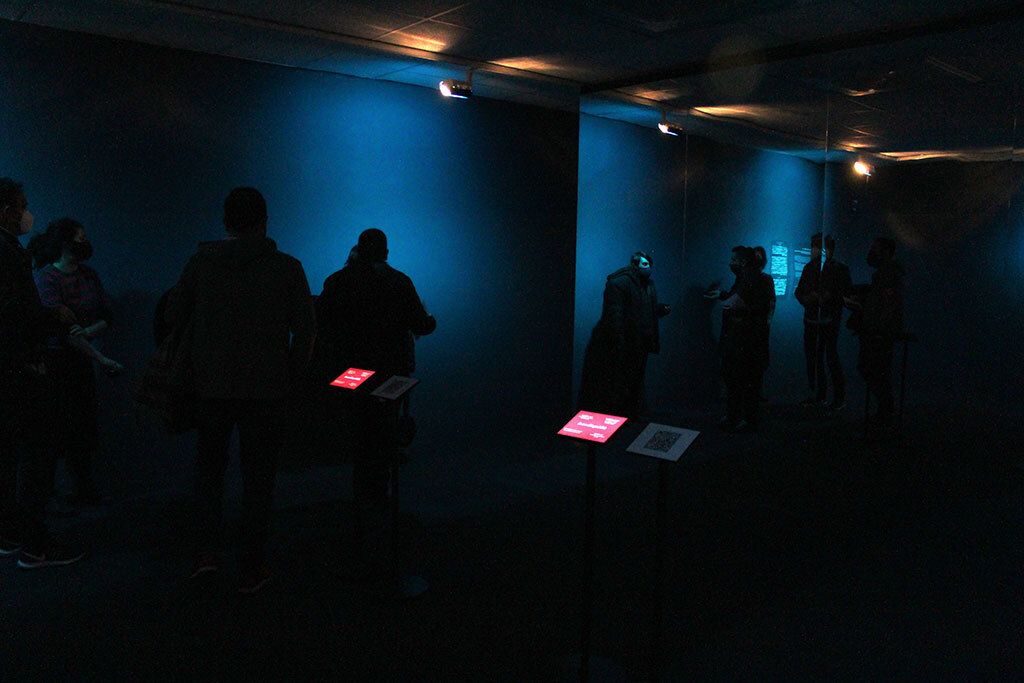 difuVisites IsakiLacuesta 01