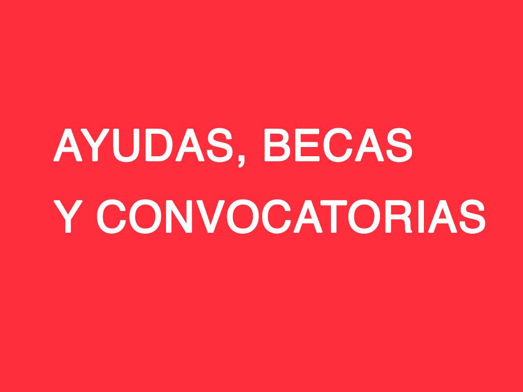 ajuts beques subvencions web CAST